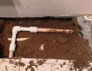 龙岩测漏水哪家好