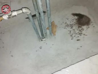 龙岩卫生间测漏水价格明细