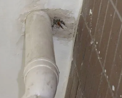 龙岩漏水检测哪家好